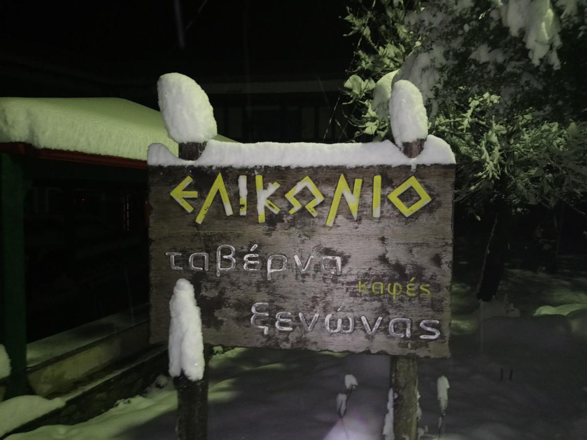 Hotel Elikonio Agia Anna  Exterior foto